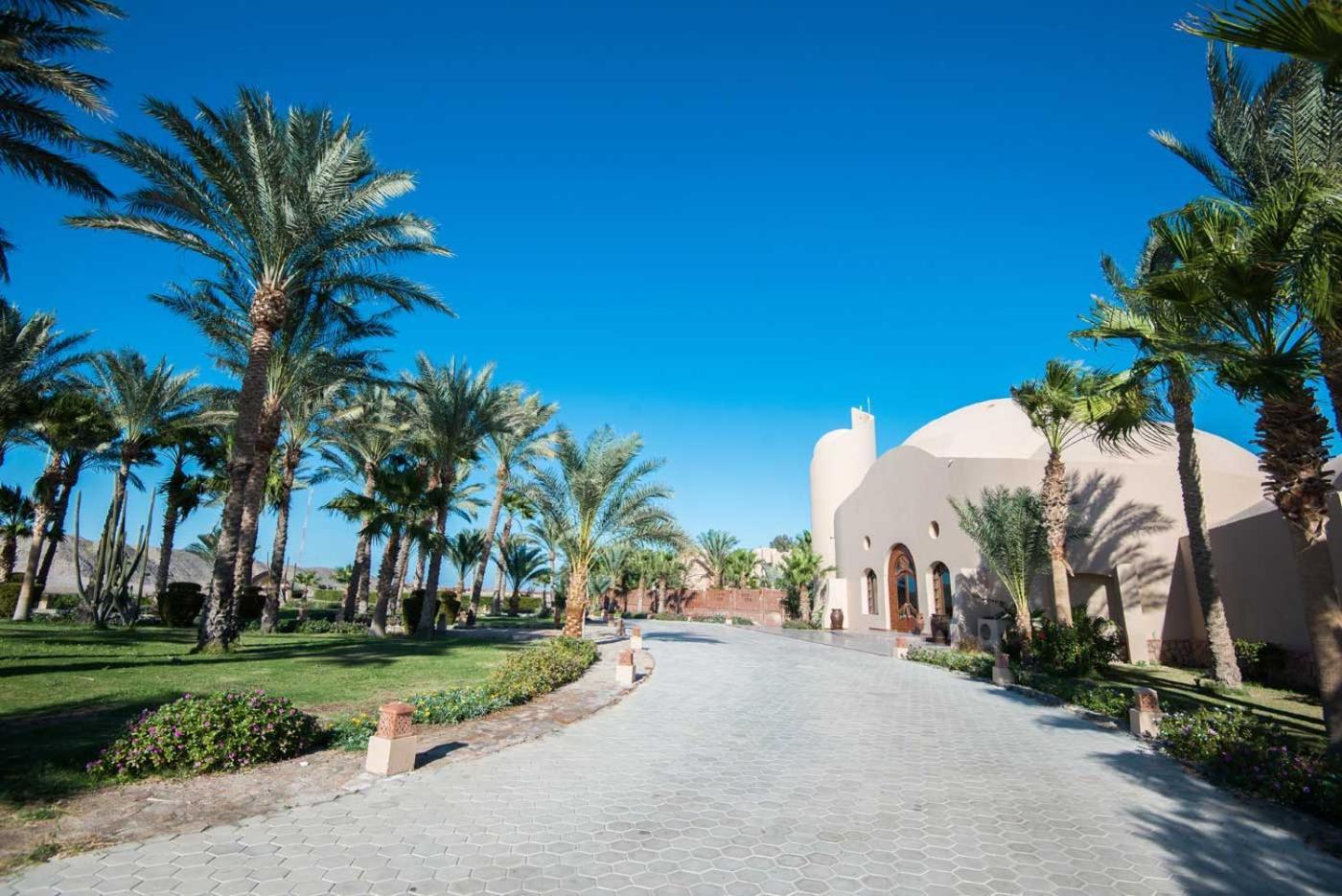 Shams Alam Beach Resort Abu Ghusun ภายนอก รูปภาพ
